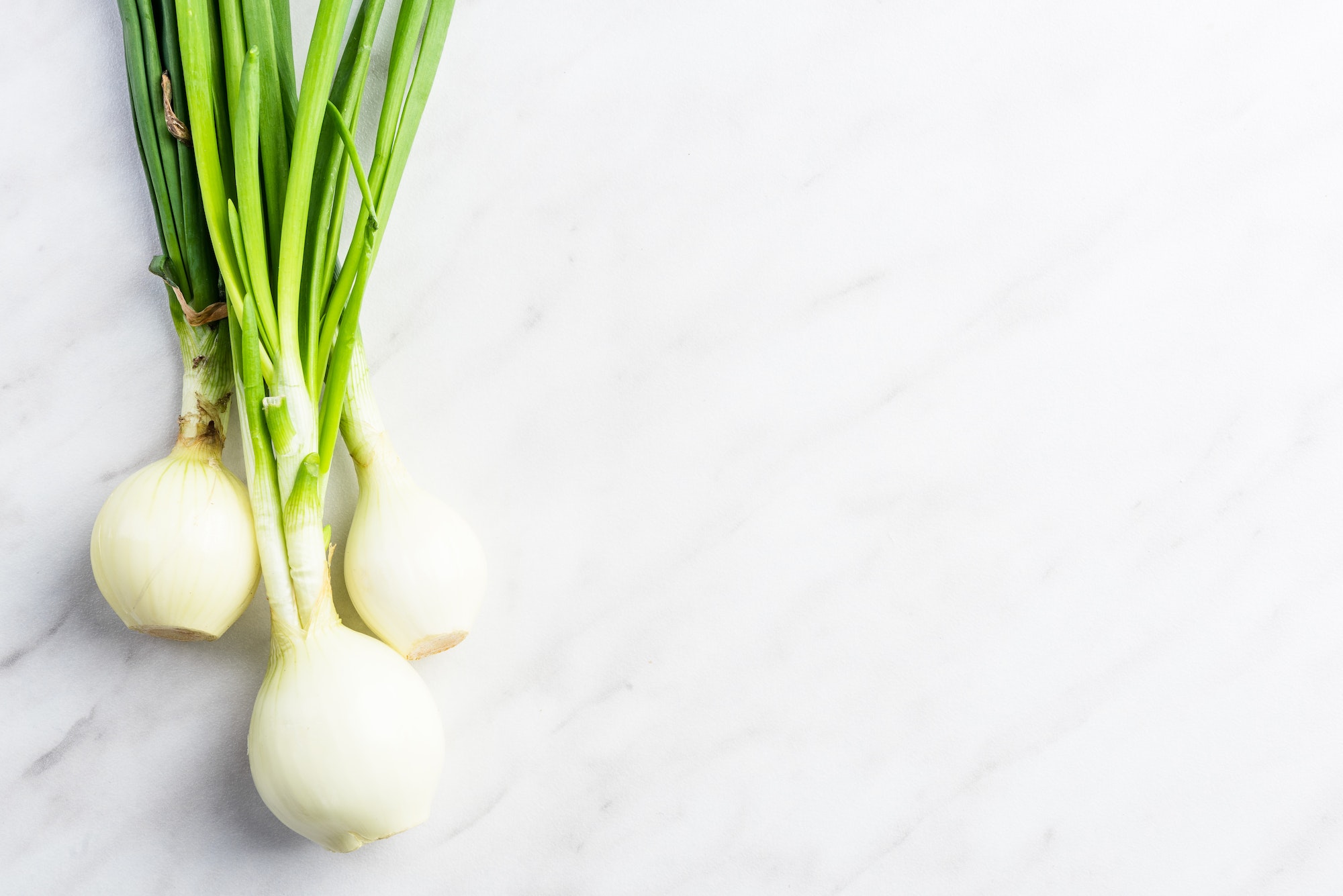 Fresh spring onions on marble table