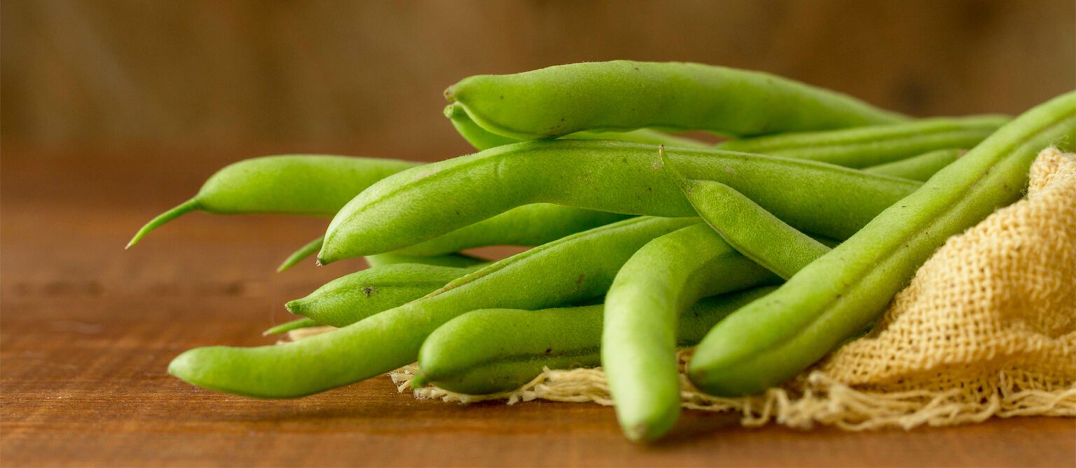 Descubre cuándo y cómo plantar las habas Prove