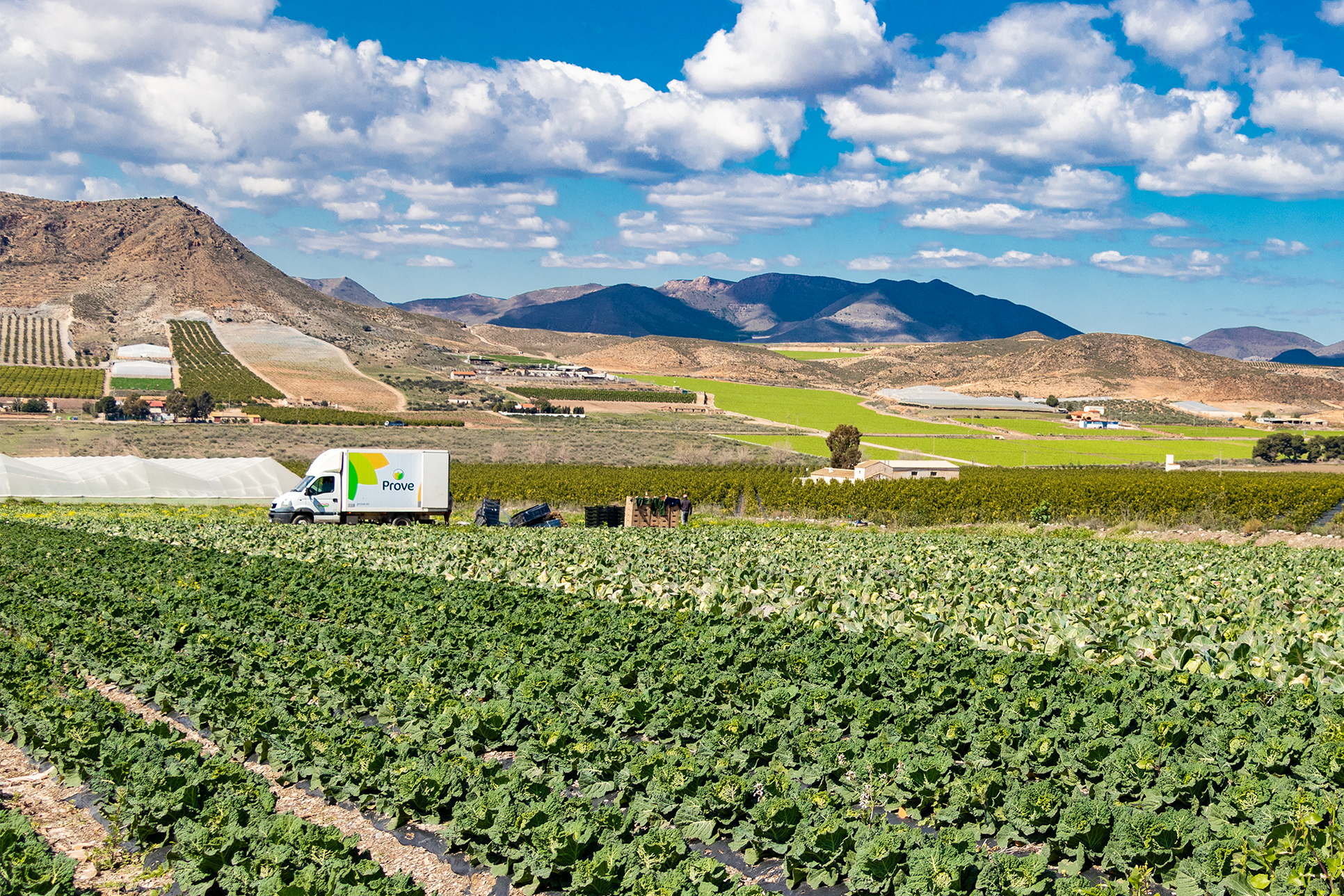 Lee más sobre el artículo La Región de Murcia: el paraíso agrícola