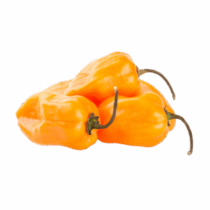 Pimiento Habanero