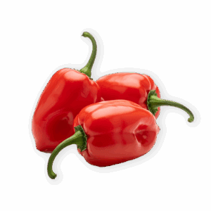 Pimiento Habanero